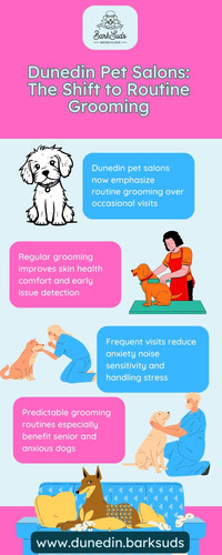 Dunedin Pet Salons.jpg