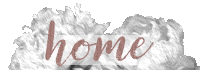 home icon.png