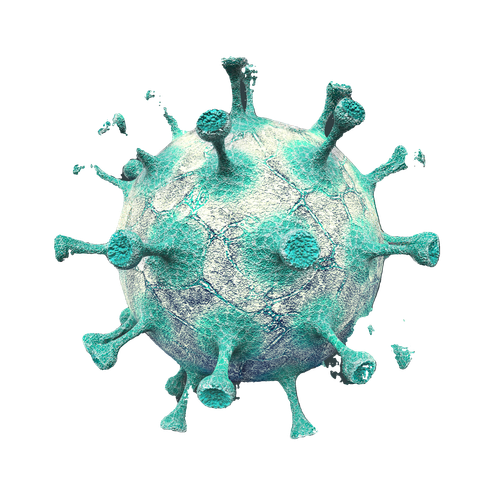 3d virus gamma edited.png