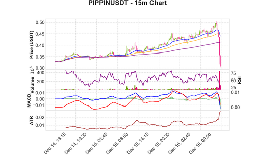PIPPINUSDT 15m chart.png
