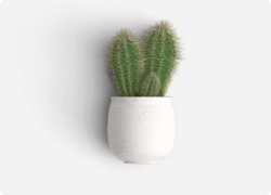 Product Img 1 (1).png