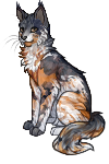 d15d67e732e758c3.png