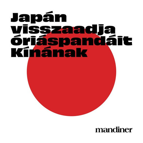 600366942 1362744045864274 7897001545005827859 n.jpg?stp=dst jpg s590x590 tt6& nc cat=109&ccb=1 7& n.jpg