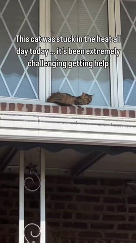 vxSPkfQCbToSd9as.jpg