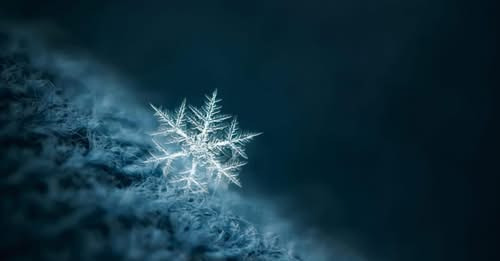 5227515859929547707?url=https%3A%2F%2Fstatic.aysor.am%2Fstorage%2Ffiles%2Fstock photo 61438835 1200x.jpg