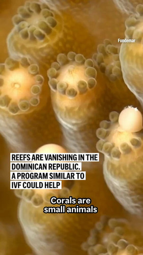 083pYEH0Ssip0 Fp.jpg