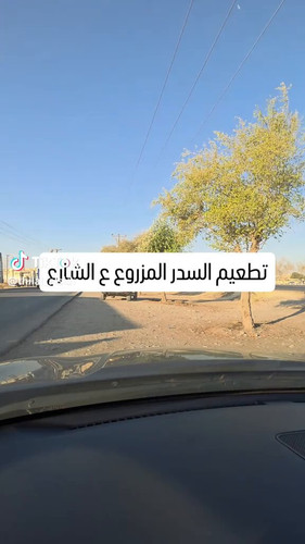 5f12dFG hdIqzKBo.jpg