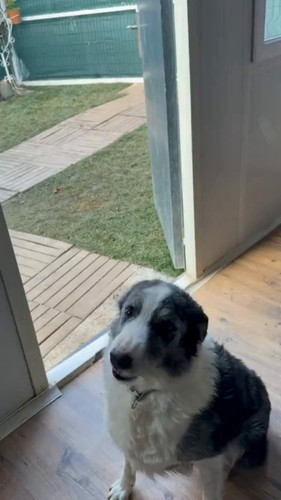 091mPMQiQI 29TQV.jpg