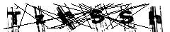 test.jpg