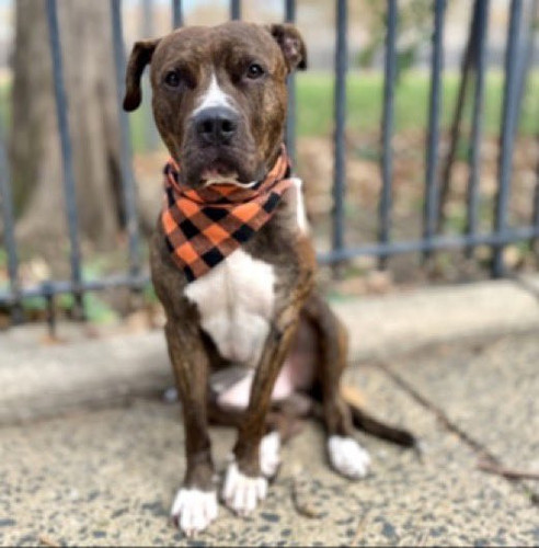 G6X9RExXgAAxbl ?format=jpg.jpg