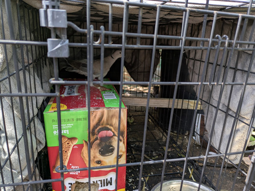 PXL 20250706 205200684.jpg