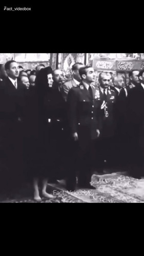 rLD6ZPPSRyvk 0mw.jpg