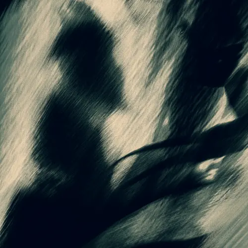 Respect Their Wishes.webp