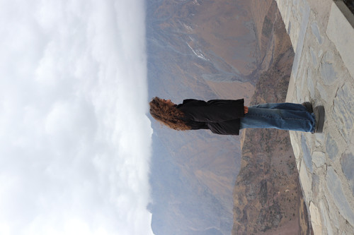 IMG 0918.jpg