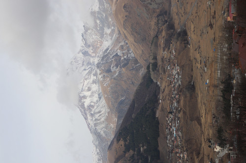 IMG 0759.jpg