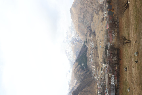 IMG 0757.jpg