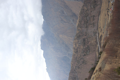 IMG 0773.jpg