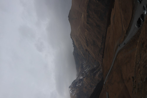 IMG 0774.jpg