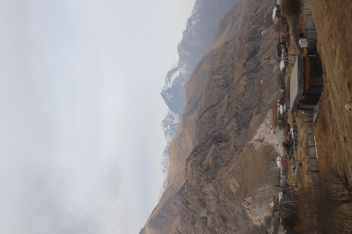IMG 0761.jpg