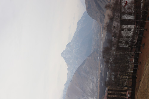 IMG 0763.jpg