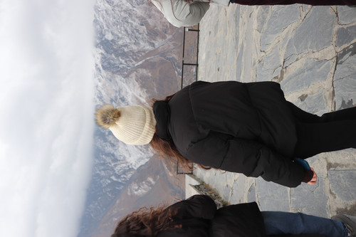 IMG 0787.jpg