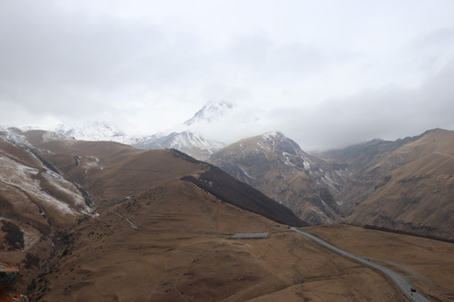 IMG 0769.jpg