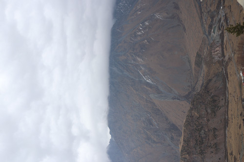IMG 0772.jpg