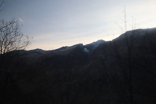 IMG 0699.jpg