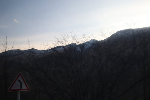 IMG 0697.jpg