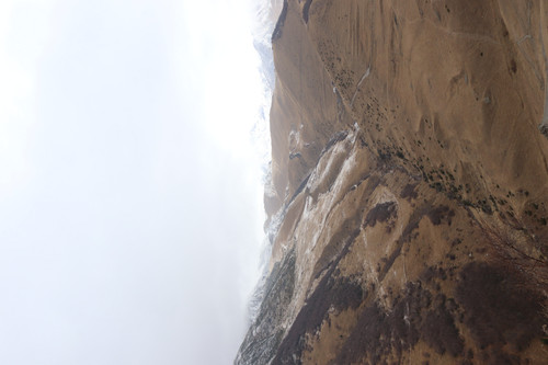 IMG 1000.jpg