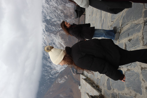 IMG 0795.jpg
