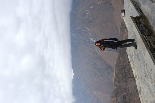 IMG 0846.jpg