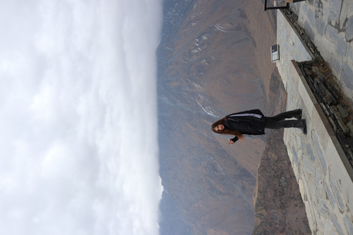 IMG 0843.jpg