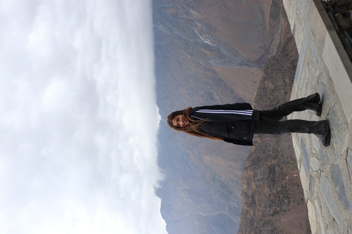 IMG 0863.jpg