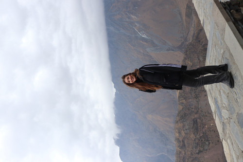 IMG 0854.jpg