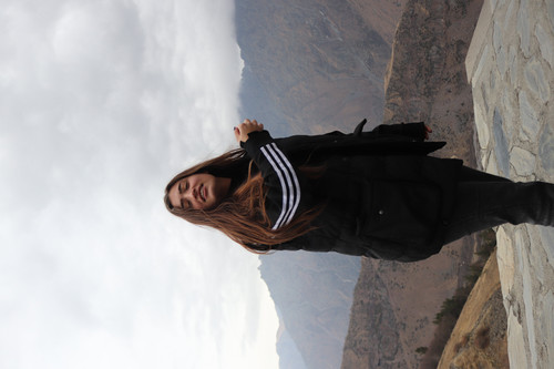 IMG 0878.jpg