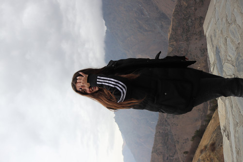 IMG 0876.jpg