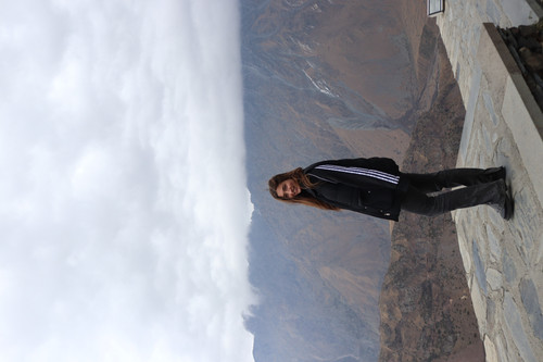 IMG 0858.jpg