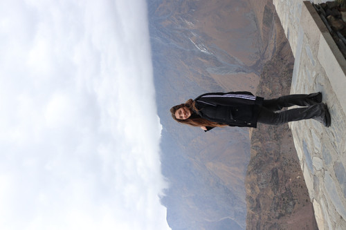 IMG 0855.jpg