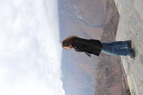 IMG 0900.jpg