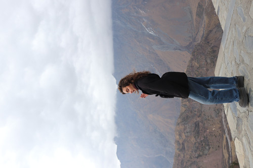 IMG 0893.jpg