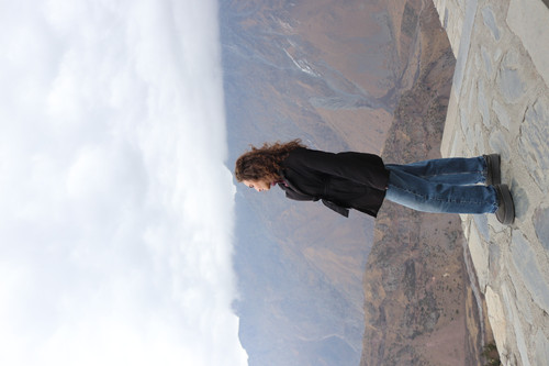 IMG 0901.jpg