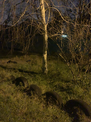 IMG 0820.jpg