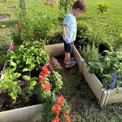 Landscape Designers Boynton Beach.png