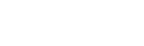 policy card background.png