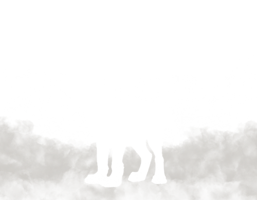 pup.png