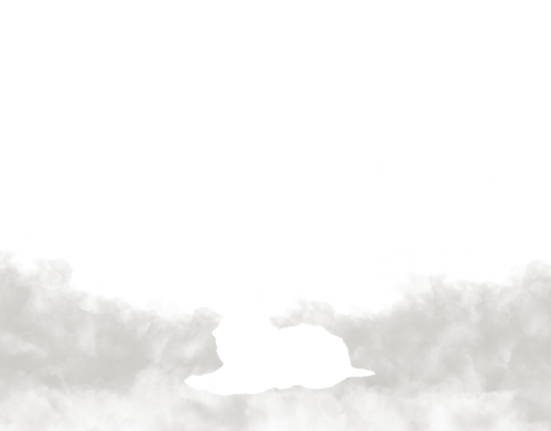 newborn.png