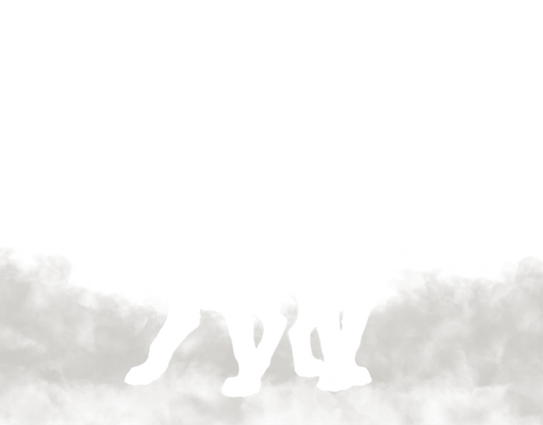 twins.png