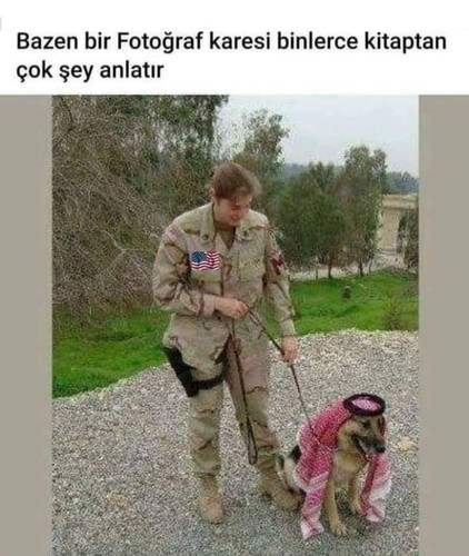 G8VRa3ZXgAEnNGf.jpg
