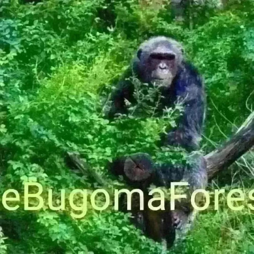 G8ZCeGMXEAA BH.jpg